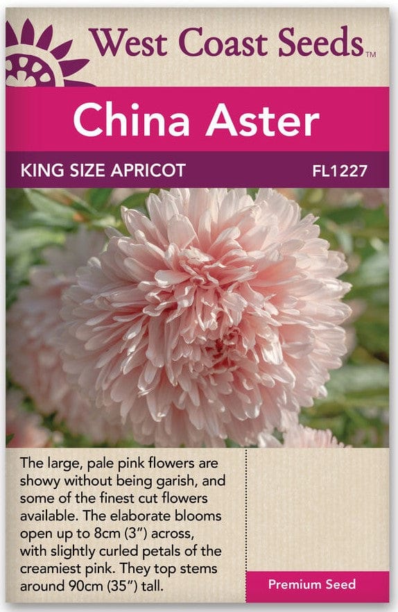 China Aster King Size Apricot - West Coast Seeds