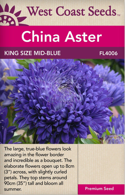 China Aster King Size Mid-Blue - West Coast Seeds