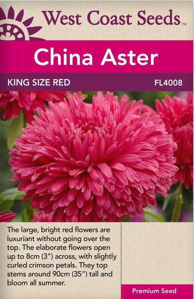 China Aster King Size Red - West Coast Seeds