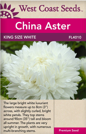 China Aster King Size White - West Coast Seeds