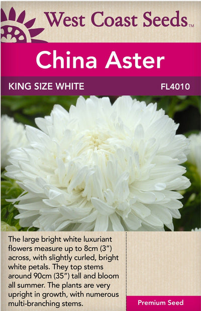 China Aster King Size White - West Coast Seeds