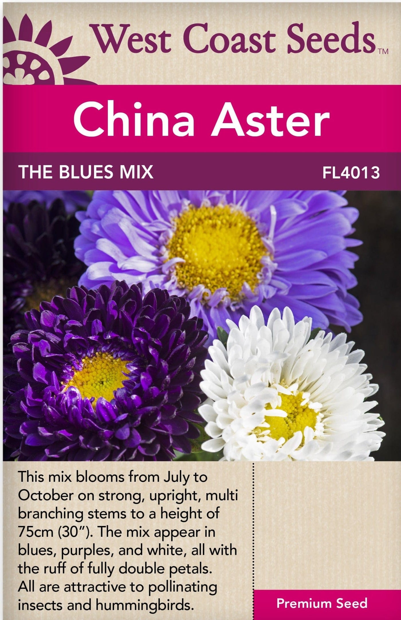 China Aster The Blues Mix - West Coast Seeds
