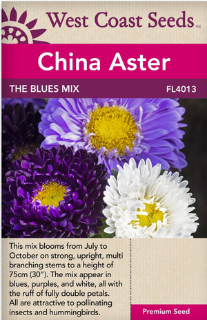 China Aster The Blues Mix - West Coast Seeds