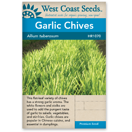 Chives Garlic - West Coast Seeds