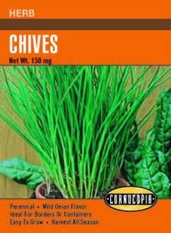 Chives Heirloom - Cornucopia Seeds