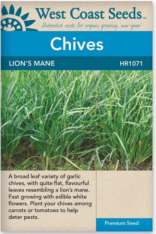 Chives Lions Mane Leaved - West Coast Seeds