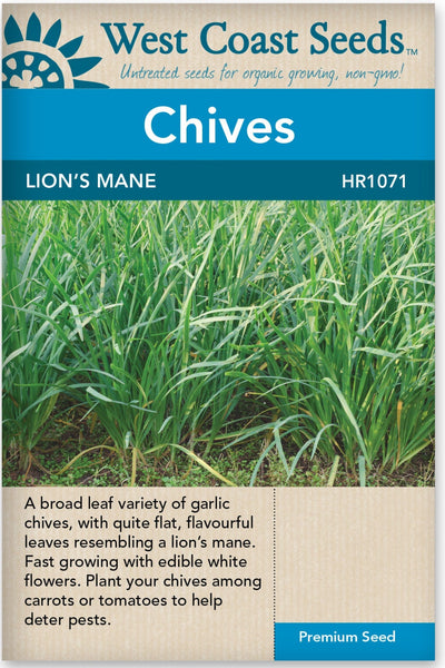 Chives Lions Mane Leaved - West Coast Seeds