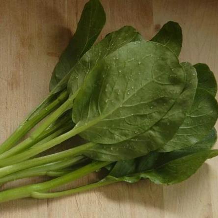 Pac Choi Yu Choi Sum - West Coast Seeds