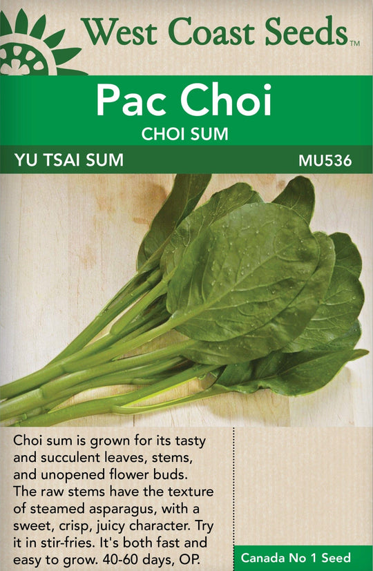 Choi Sum Yu Tsai Sum - West Coast Seeds