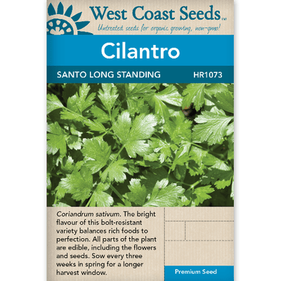 Cilantro Santo Long Standing - West Coast Seeds