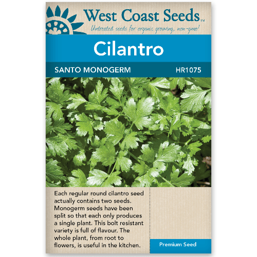 Cilantro Santo Monogerm - West Coast Seeds