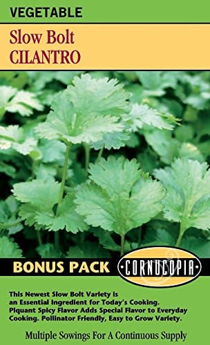 Cilantro Slow Bolt BONUS PACK - Cornucopia Seeds
