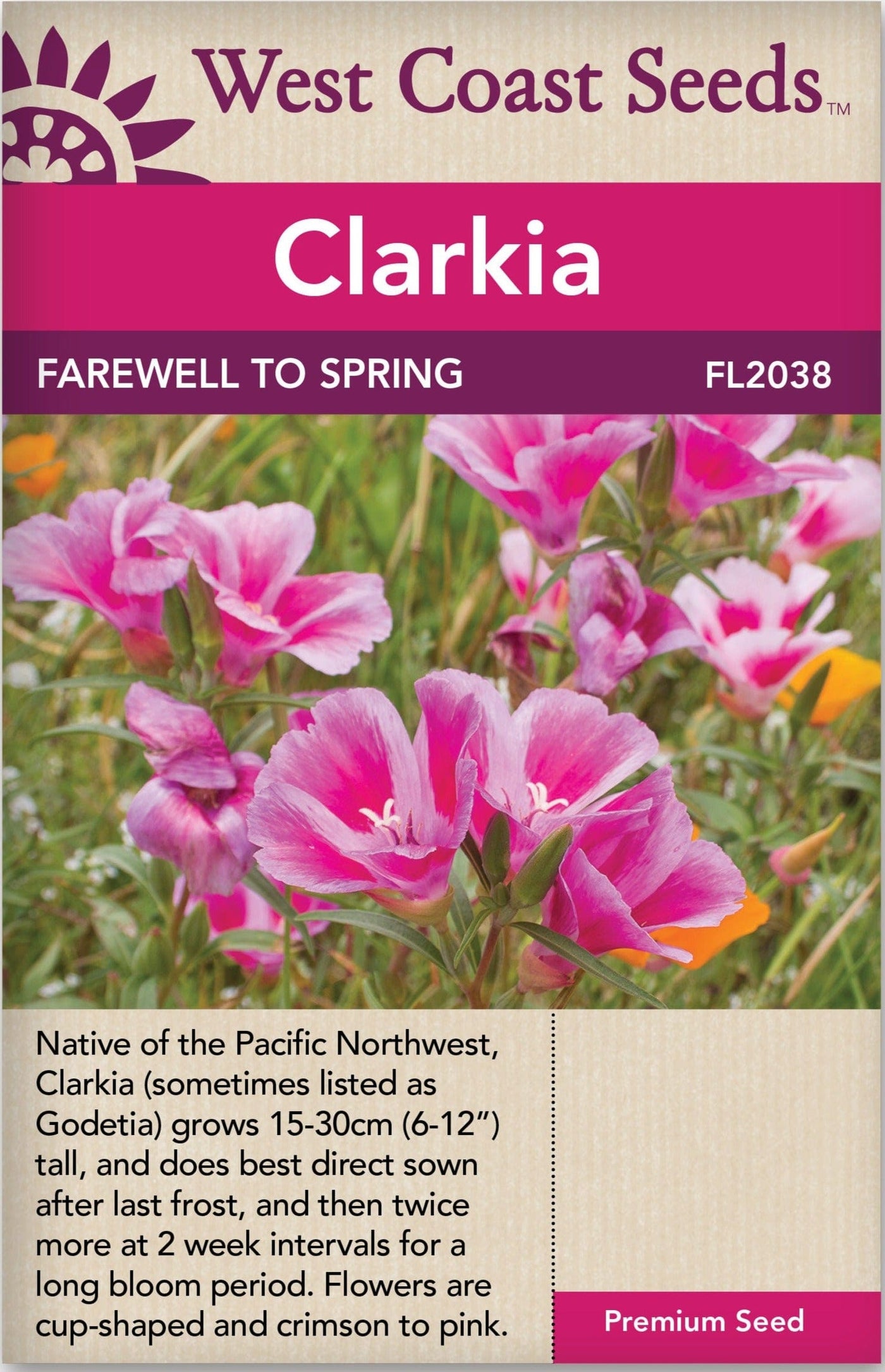 Clarkia Farewell to Spring - West Coast Seeds