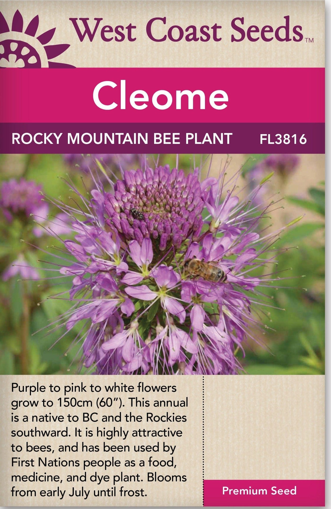Cleome Rocky Mountain Bee Plant - West Coast Seeds