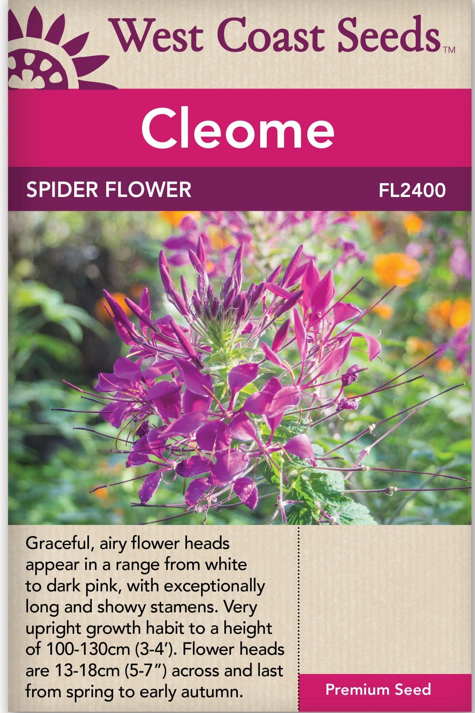 Cleome Spider Flower - West Coast Seeds – Wildwood Outdoor Living