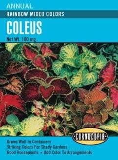 Coleus Rainbow Mixed - Cornucopia Seeds
