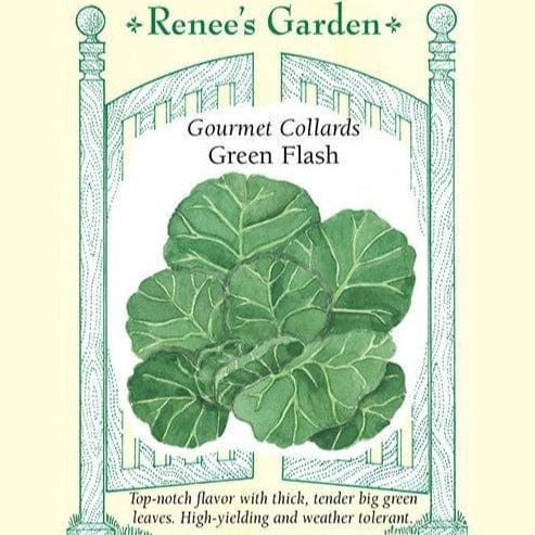 Collards Green Flash - Renee's Garden Seeds