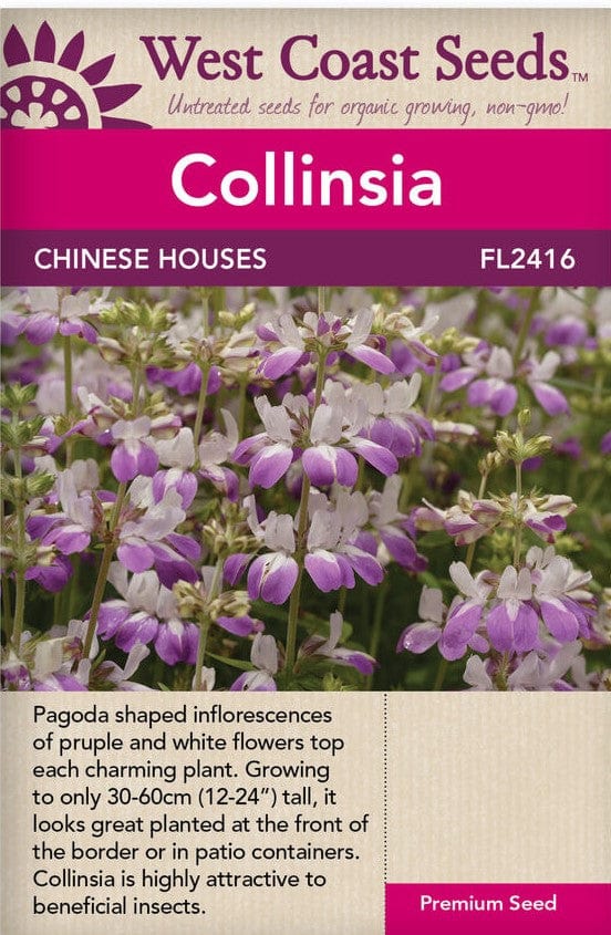 Collinsia Chinese Houses - West Coast Seeds