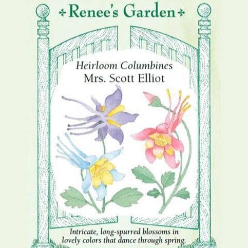 Columbine Mrs. Scott Elliot - Renee's Garden Seeds