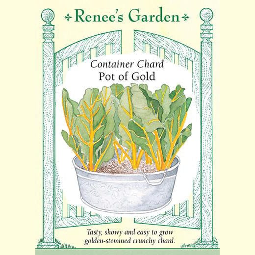 Container Chard Pot of Gold - Renee's Garden