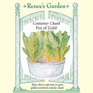 Container Chard Pot of Gold - Renee's Garden