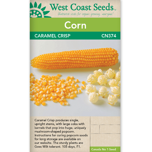 Corn Caramel Crisp - West Coast Seeds