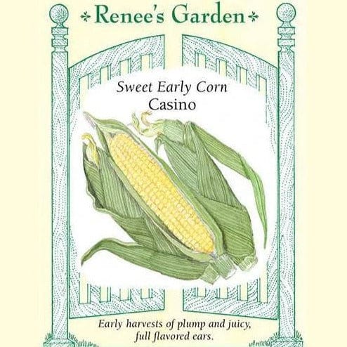 Corn Early Casino - Renee's Garden Seeds