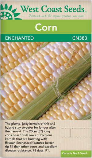 Corn Enchanted - West Coast Seeds