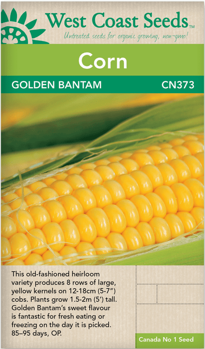 Corn Golden Bantam - West Coast Seeds