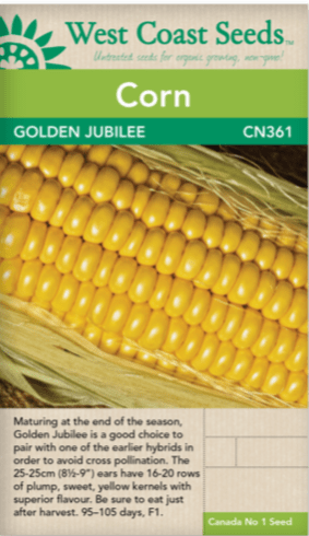 Corn Golden Jubilee - West Coast Seeds