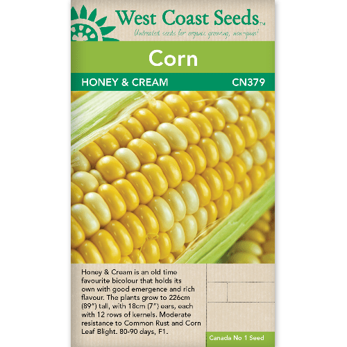 Corn Honey & Cream - West Coast Seeds