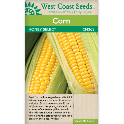 Corn Honey Select - West Coast Seeds