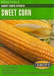 Corn Kandy Korn Hybrid - Cornucopia Seeds
