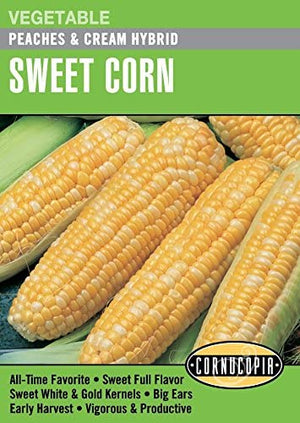 Corn Peaches & Cream - Cornucopia Seeds