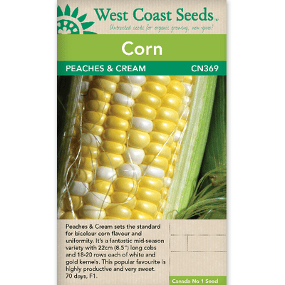 Corn Peaches & Cream - West Coast Seeds