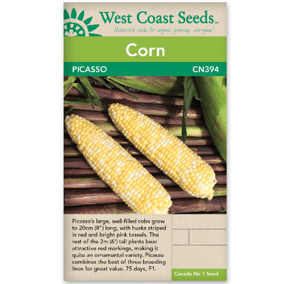 Corn Picasso - West Coast Seeds