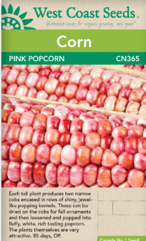 Corn Pink Popcorn - West Coast Seeds