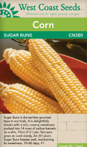 Corn Sugar Buns - West Coast Seeds