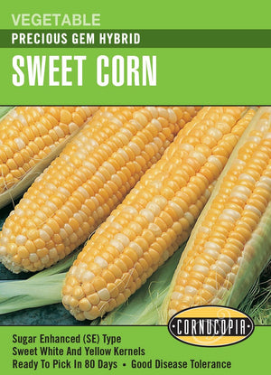 Corn Sweet Precious Gem Hybrid - Cornucopia Seeds