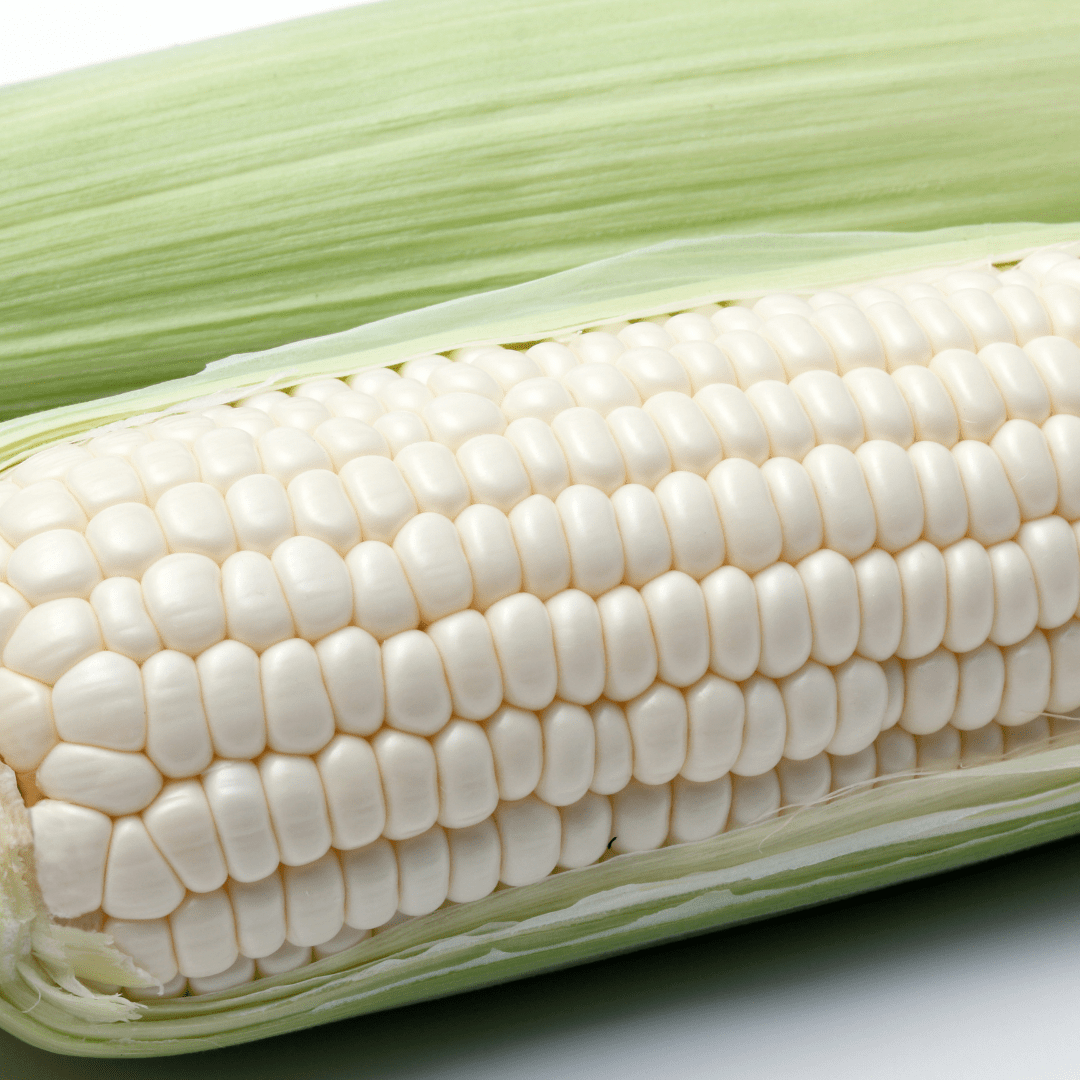 Corn Triple Crown White - Burpee Seeds