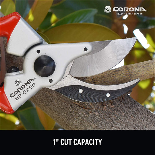 Corona BP 6250 Aluminum Bypass Pruner, 1-Inch Cut Capacity