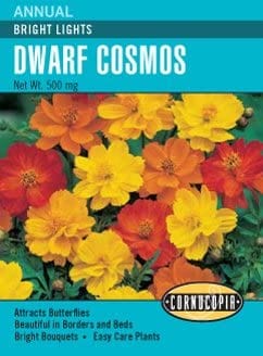 Cosmos Bright Lights - Cornucopia Seeds