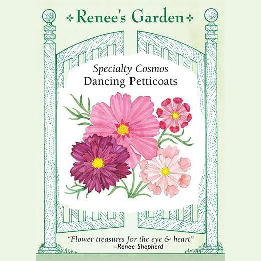 Cosmos Dancing Petticoats - Renee's Garden