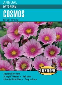 Cosmos Daydream - Cornucopia Seeds