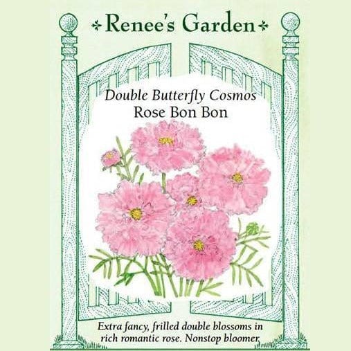 Cosmos Rose Bon Bon - Renee's Garden Seeds