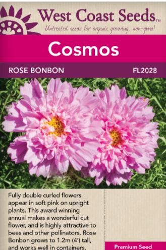 Cosmos Rose Bon Bon - West Coast Seeds