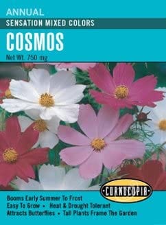 Cosmos Sensation Mix - Cornucopia Seeds