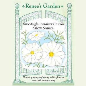 Cosmos Snow Sonata - Renee's Garden
