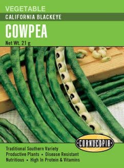 Cowpea California Blackeye - Cornucopia Seeds