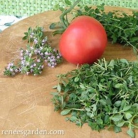 Creeping Thyme - Renee's Garden Seeds